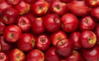 images - 2026-10-27T130102.095